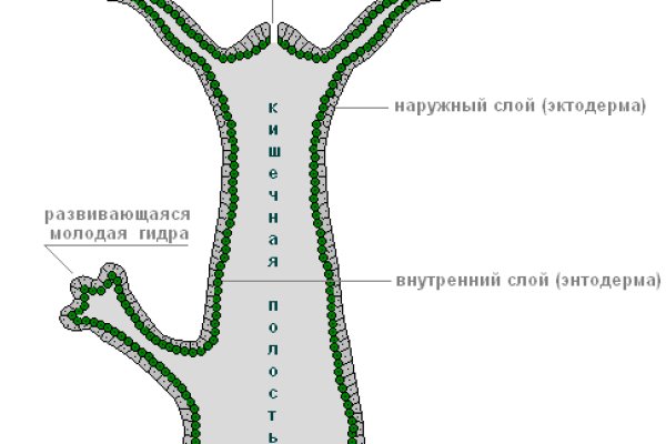 Кракен нарко маркетплейс