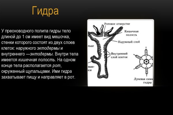 Kraken com зеркало